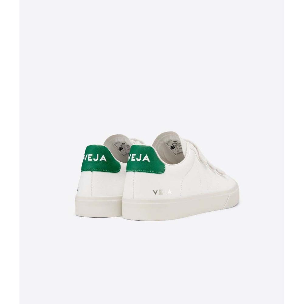 Veja RECIFE CHROMEFREE Men's Shoes White/Green | NZ 199CTV